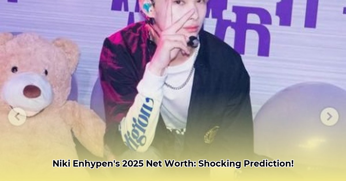 niki-enhypen-net-worth